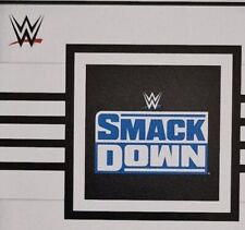 Card wrestling panini usato  Italia