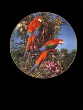 Wedgwood fragile paradise for sale  ROSS-ON-WYE