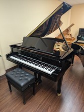 Petrof 194 storm for sale  Bellevue