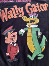 Hanna barbera wally usato  Este