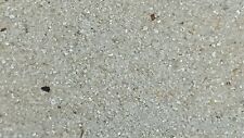 Strandsand ramena beach gebraucht kaufen  Detmold