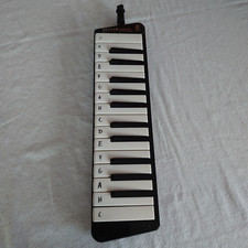 Hohner piano melodica gebraucht kaufen  Kornwestheim