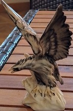 Ceramica cacciapuoti usato  Campagnano di Roma