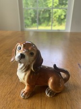daschund puppies for sale daschund puppies for sale Hanover