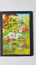 Superpuzzle donalds flotte gebraucht kaufen  Lenting