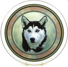 Dog plates choose for sale  TRURO