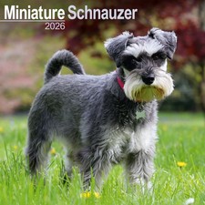 Calendrier 2026 schnauzer d'occasion  Troyes
