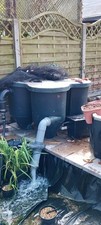 Cloverleaf filter pond for sale  HOUNSLOW