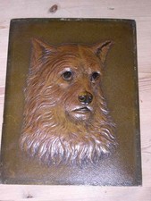 norwich terrier for sale norwich terrier for sale WARRINGTON