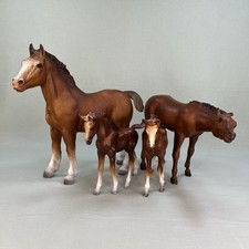clydesdale for sale clydesdale for sale Middleville