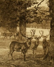 Heywood hardy original for sale  UK