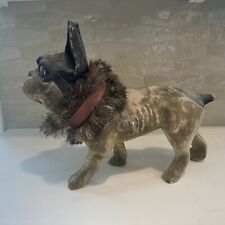 frenchbulldog bulldog french for sale frenchbulldog bulldog french for sale Fenton