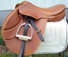 courbette saddle for sale  Pennellville