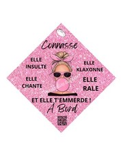 Stickers plaque ventouse d'occasion  Saint-Martin-des-Besaces