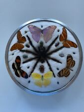 Cadre entomologie insectes d'occasion  Aubagne