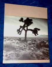 U2 JOSHUA TREE TURNÊ OFICIAL PROGRAMA CONCERTO LIVRO DE FOTOS 1987 EXCELENTE CONDIÇÃO DEZENAS DE FOTOS, usado comprar usado  Enviando para Brazil