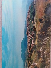 Cartolina antica acuto usato  Cavriago