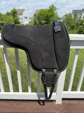 Hilason horse bareback for sale  Camp Hill