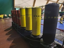 fit boxe usato fit boxe usato Ceriale