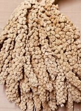 Millet sprays seed for sale  AYLESFORD