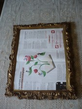 Ancien miroir cadre d'occasion  Murol