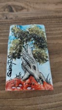 Calamite souvenir ceramica usato  Corsano