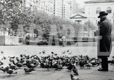 Vintage animali piccioni usato  Roma
