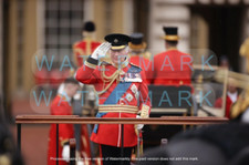 Trooping colour 2025 for sale  BIRMINGHAM