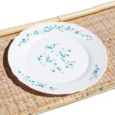 Arcopal dish presentation d'occasion  Expédié en Belgium