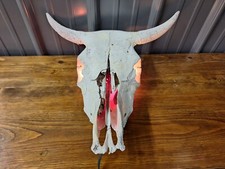 Authentic steer bull for sale  Coldwater