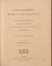 Novi testamenti biblia usato  Lucca