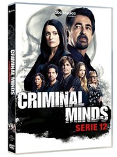 Dvd criminal minds usato  Senago