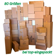 Top karton faltkarton gebraucht kaufen  Tiefenbach