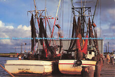 D188141 louisiana shrimp for sale  WARLINGHAM