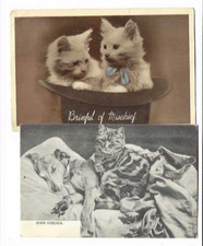 Cat postcards burgess for sale  RIPLEY