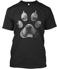 Perfect pit bull for sale  USA