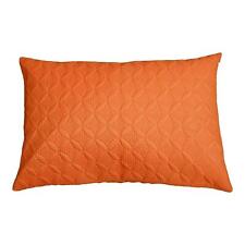 Orange terracotta ultrasonic for sale  CRADLEY HEATH