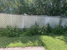 Lattice panel for sale  Huntington Station