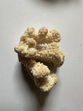 Antique real corals for sale  NORWICH