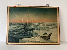 Lehrtafel schulwandkarte polar gebraucht kaufen  Bonn