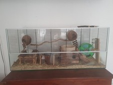 Großes terrarium geeignet gebraucht kaufen  Essen
