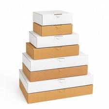 Maxibriefkarton din warensendu gebraucht kaufen Maxibriefkarton din warensendu gebraucht kaufen  Erkelenz