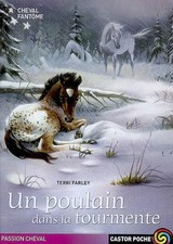 Cheval fantome tome d'occasion  France