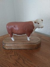 Hereford bull beswick for sale  BELPER