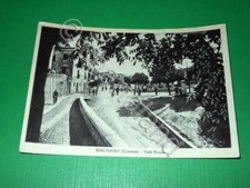Cartolina bisignano viale usato  Vimodrone