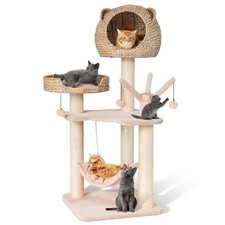 121 tall cat for sale  KETTERING