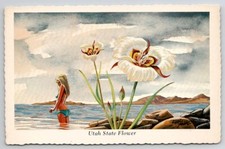 Sego lily utah for sale  Scotland