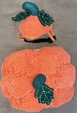 Small dog pumpkin for sale  Fair Lawn