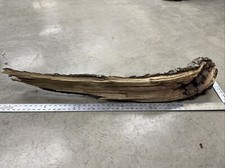 Live edge black for sale  Winchester