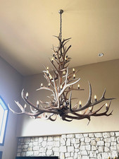 Real elk antler for sale  Littleton